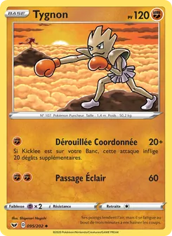 Tygnon, Épée et Bouclier 95