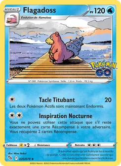 Flagadoss, Pokémon GO 020