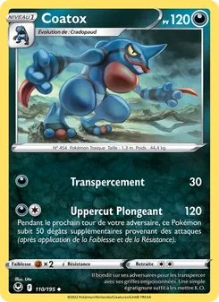 Coatox, Tempête Argentée 110