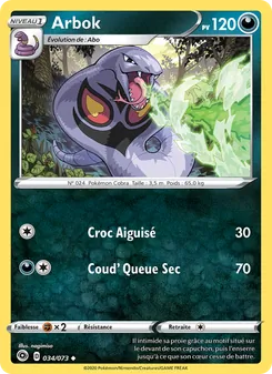 Arbok, La Voie du Maître 34