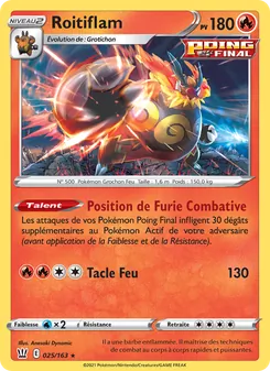 Roitiflam, Styles de combat 25