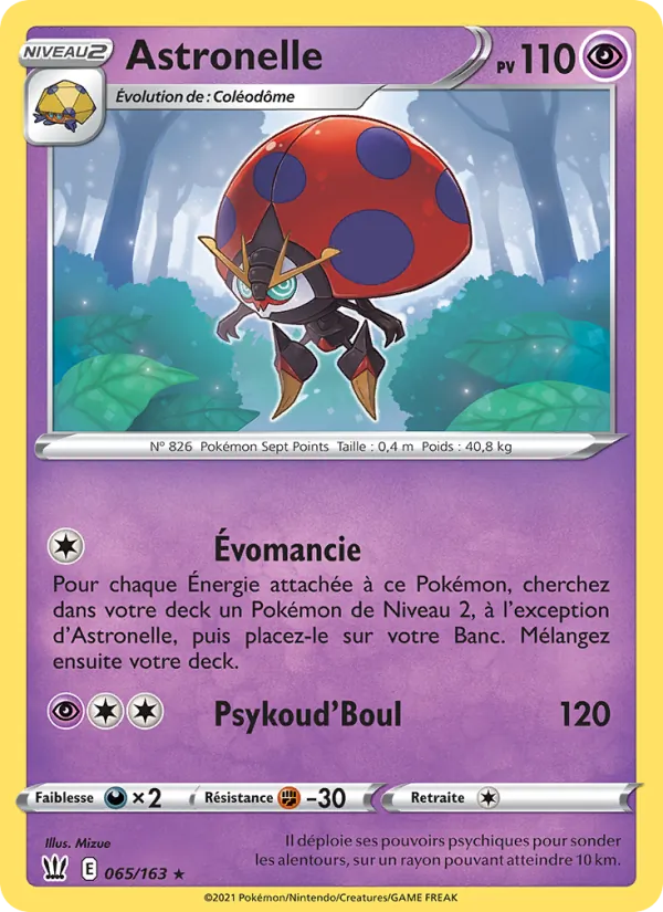 Astronelle, Styles de combat 65