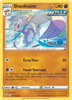 Shaofouine, Styles de combat 77
