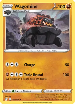 Wagomine, Styles de combat 79