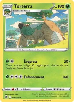 Torterra, Stars Étincelantes 008
