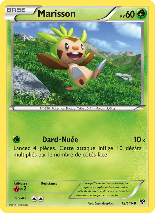 Marisson, XY 12