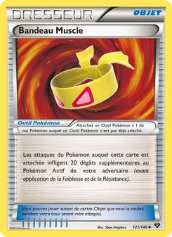 Bandeau Muscle, XY 121