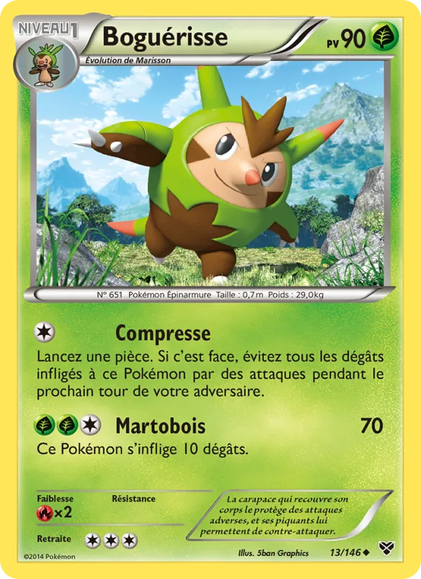 Boguérisse, XY 13