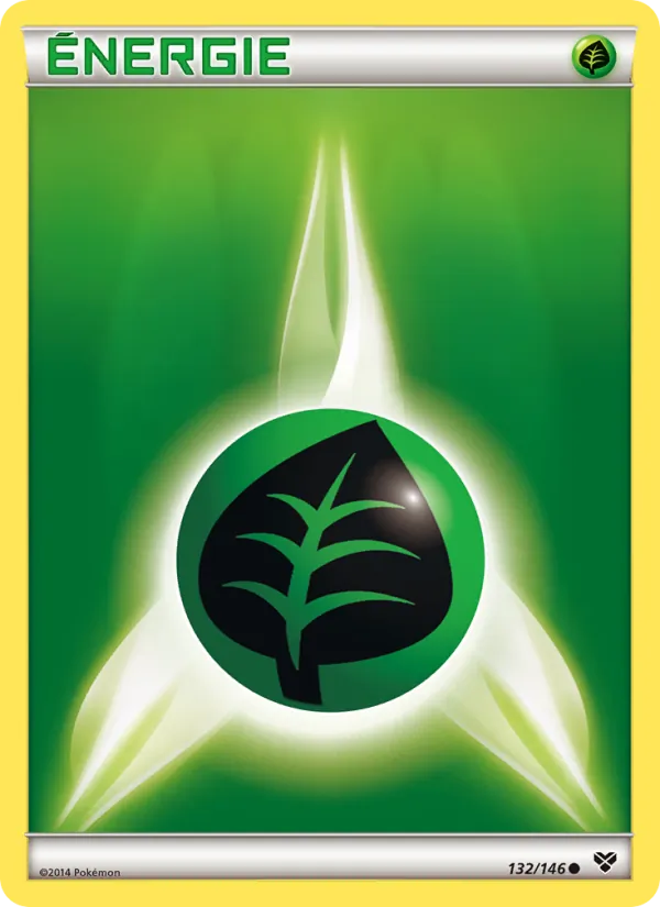 Énergie Plante, XY 132
