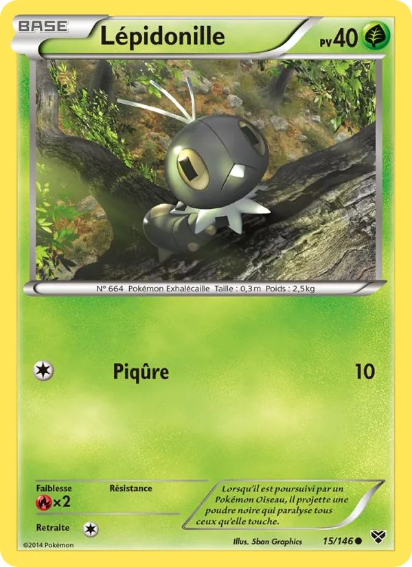 Lépidonille, XY 15
