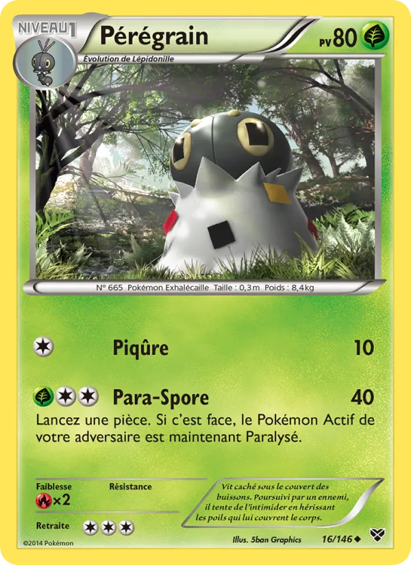 Pérégrain, XY 16