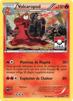 Volcaropod, XY 21