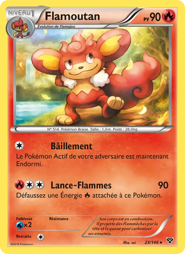 Flamoutan, XY 23