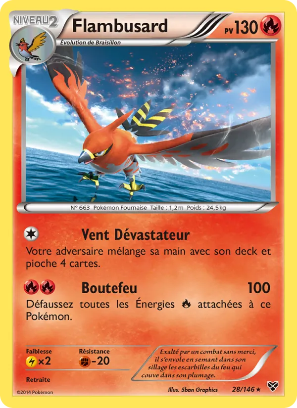 Flambusard, XY 28