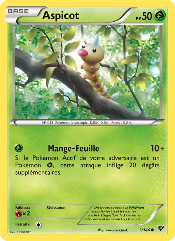 Aspicot, XY 3