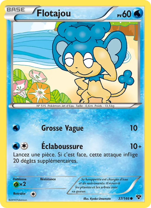 Flotajou, XY 37