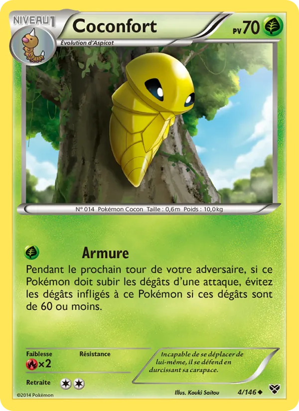 Coconfort, XY 4