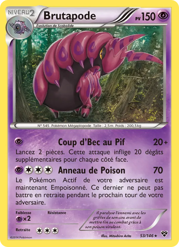 Brutapode, XY 53