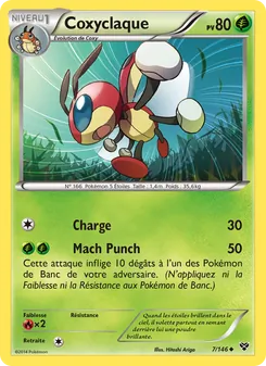 Coxyclaque, XY 7