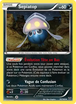 Sepiatop, XY 74