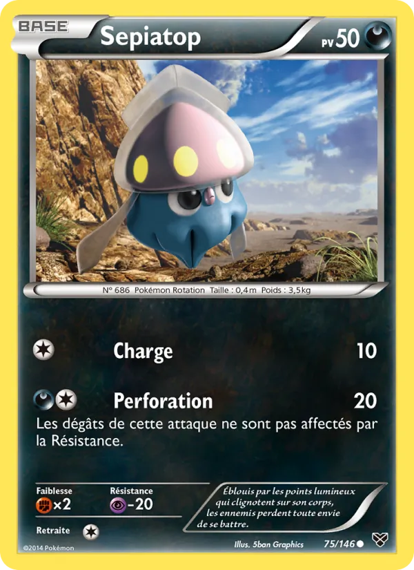 Sepiatop, XY 75