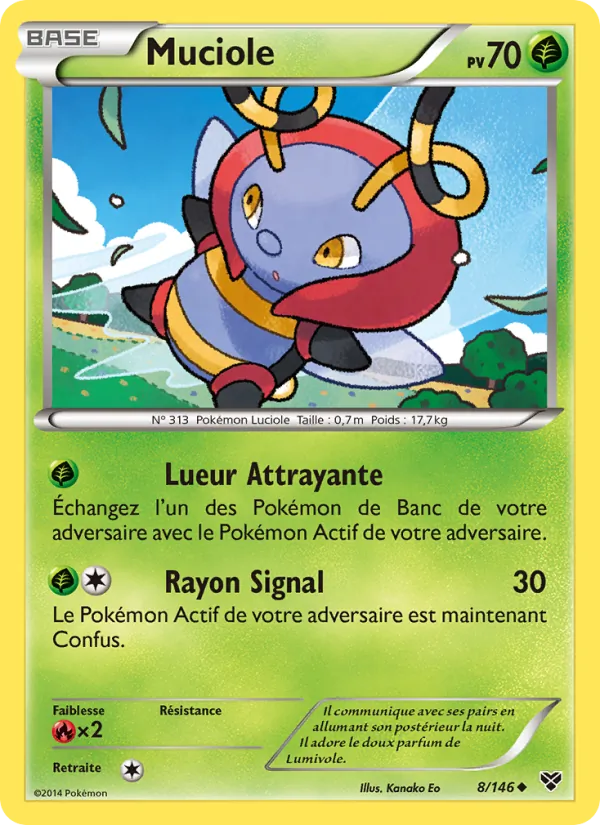 Muciole, XY 8