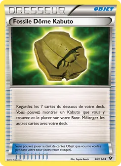 Fossile Dôme Kabuto, Impact des Destins 96