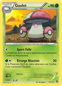 Gaulet, Offensive Vapeur 13