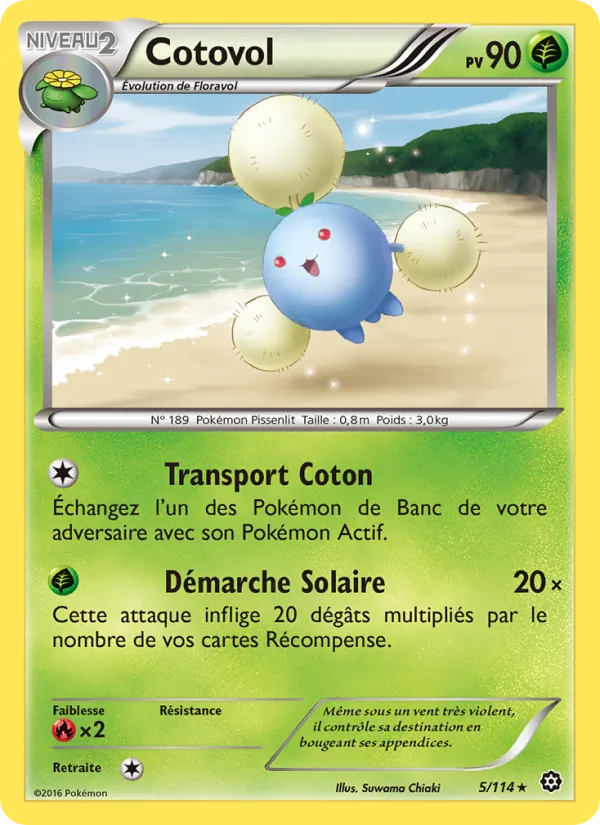 Cotovol, Offensive Vapeur 5