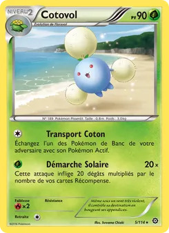 Cotovol, Offensive Vapeur 5