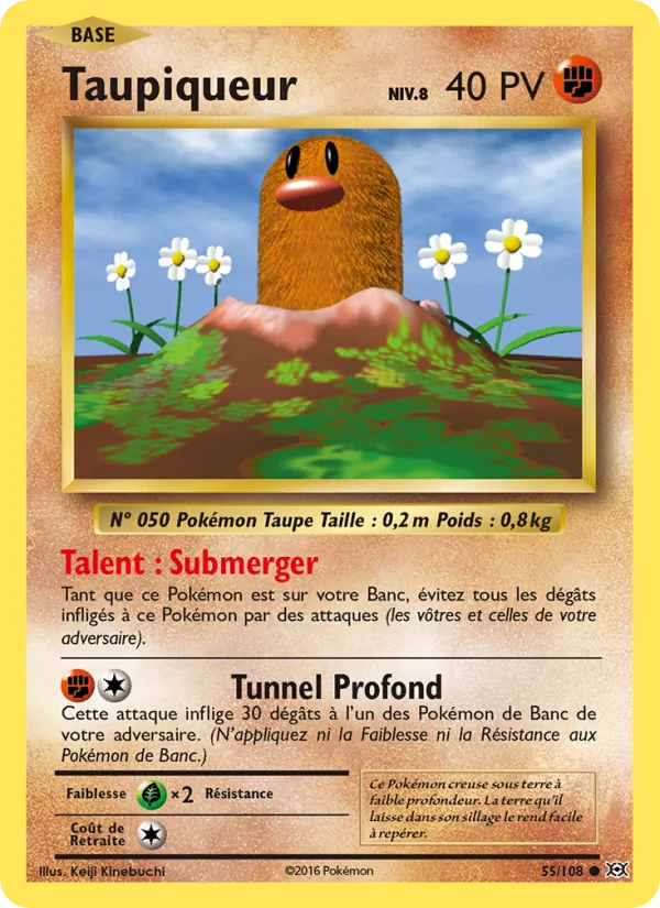 Taupiqueur, Évolutions 55
