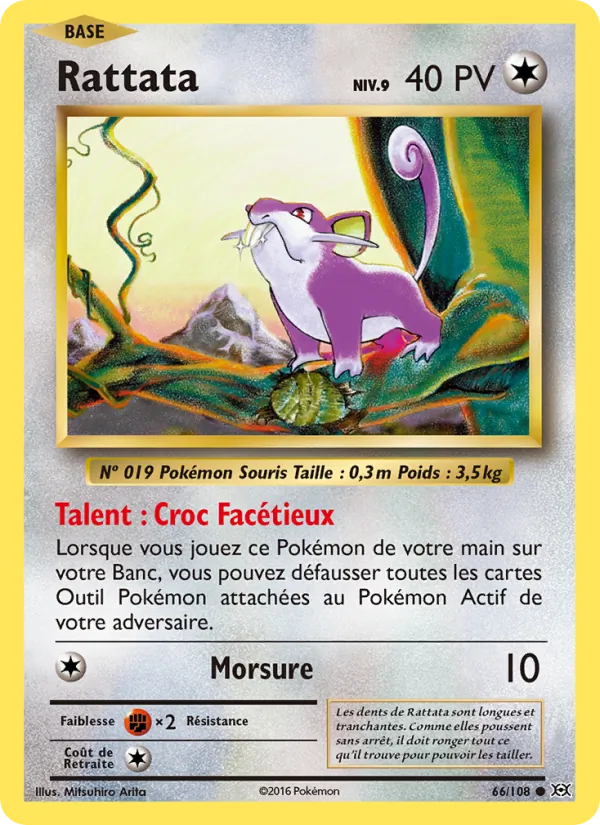 Rattata, Évolutions 66