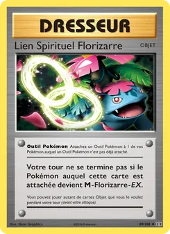 Lien Spirituel Florizarre, Évolutions 89