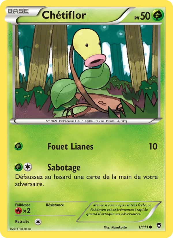 Chétiflor, Poings Furieux 1