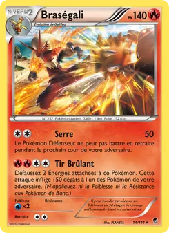Braségali, Poings Furieux 14