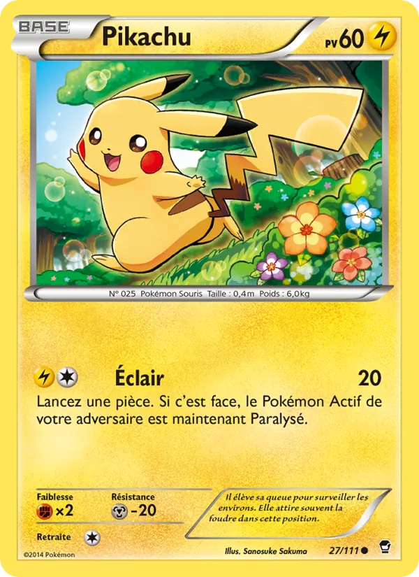 Pikachu, Poings Furieux 27