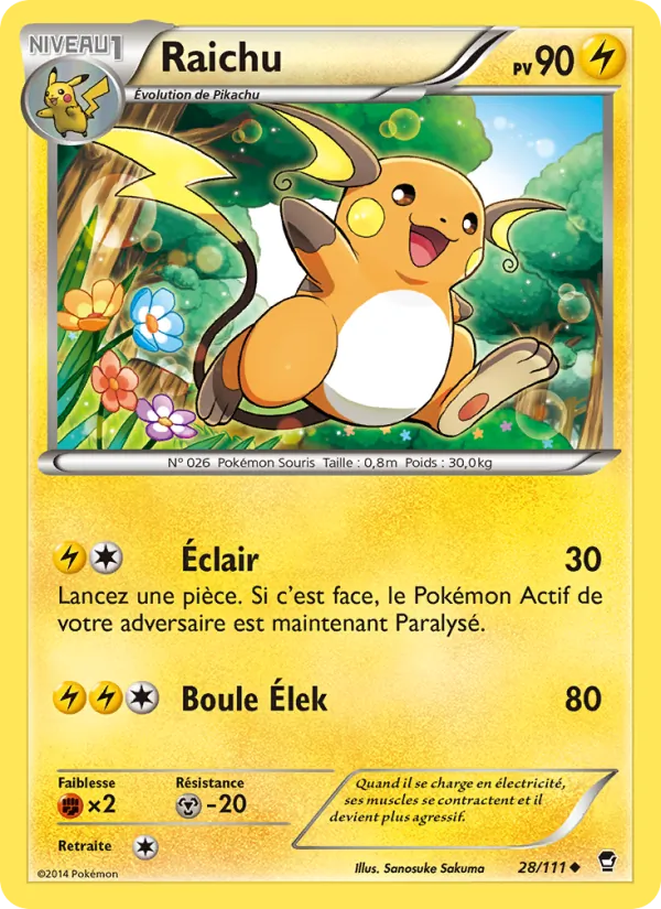 Raichu, Poings Furieux 28