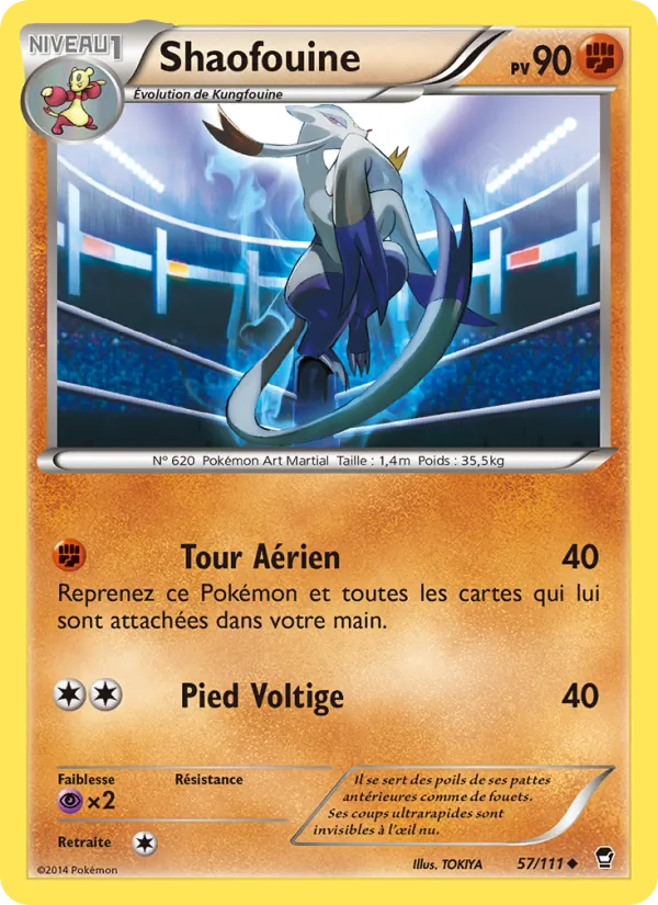Shaofouine, Poings Furieux 57