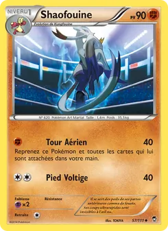 Shaofouine, Poings Furieux 57