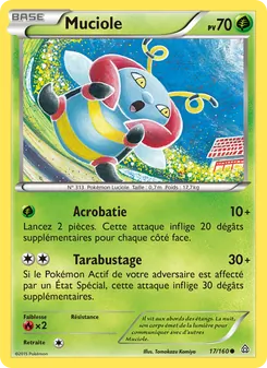 Muciole, Primo-Choc 17