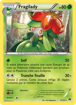 Fragilady, Rupture Turbo 8