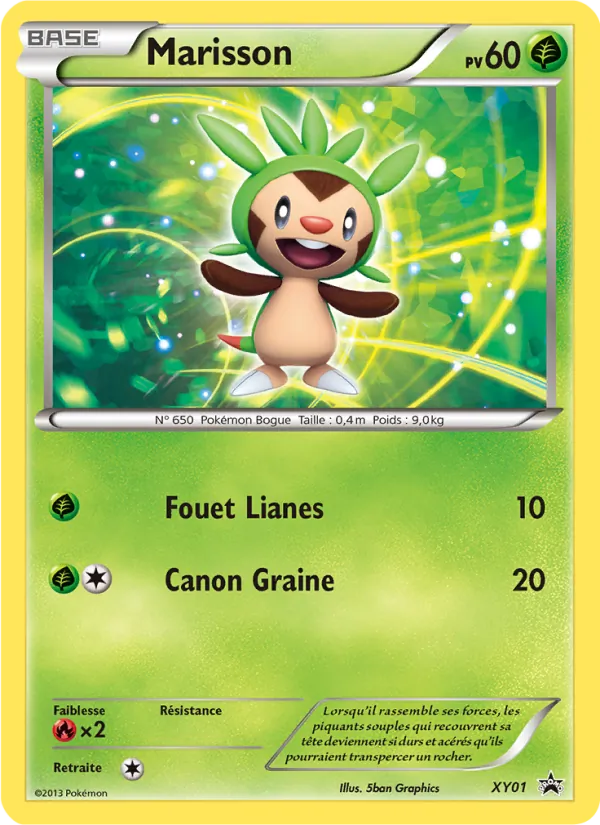 Marisson, Promo XY XY01