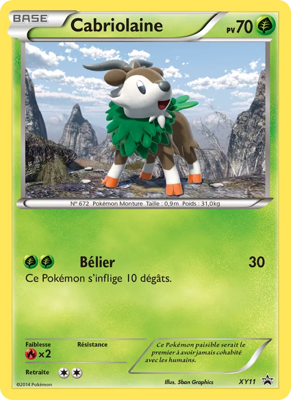 Cabriolaine, Promo XY XY11