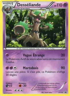 Desséliande, Promo XY XY14