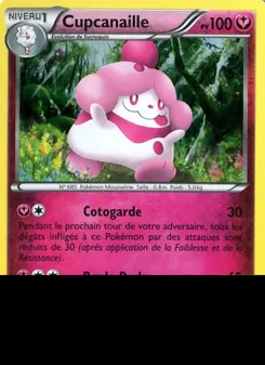 Cupcanaille, Promo XY XY15