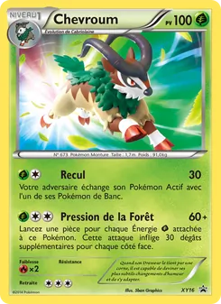 Chevroum, Promo XY XY16