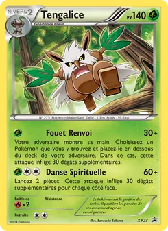 Tengalice, Promo XY XY23