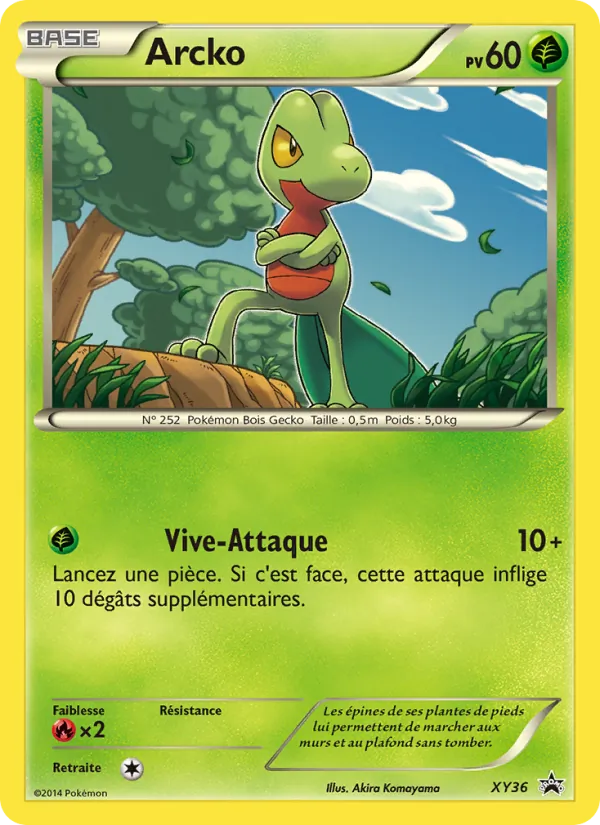 Arcko, Promo XY XY36
