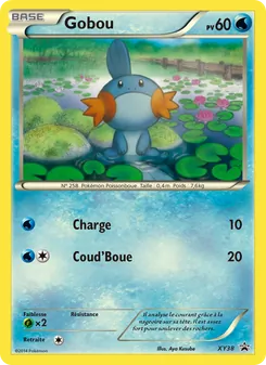 Gobou, Promo XY XY38