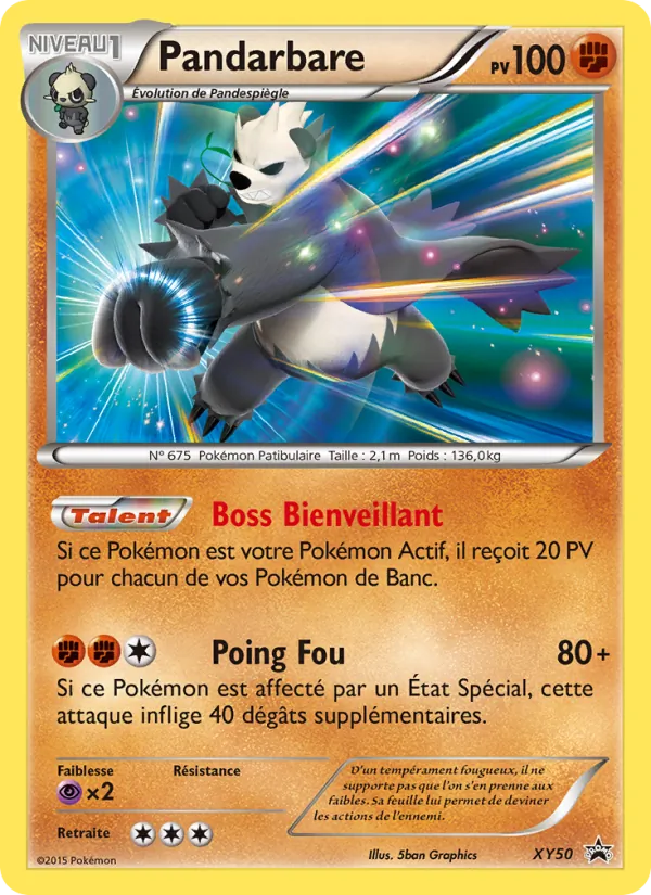 Pandarbare, Promo XY XY50
